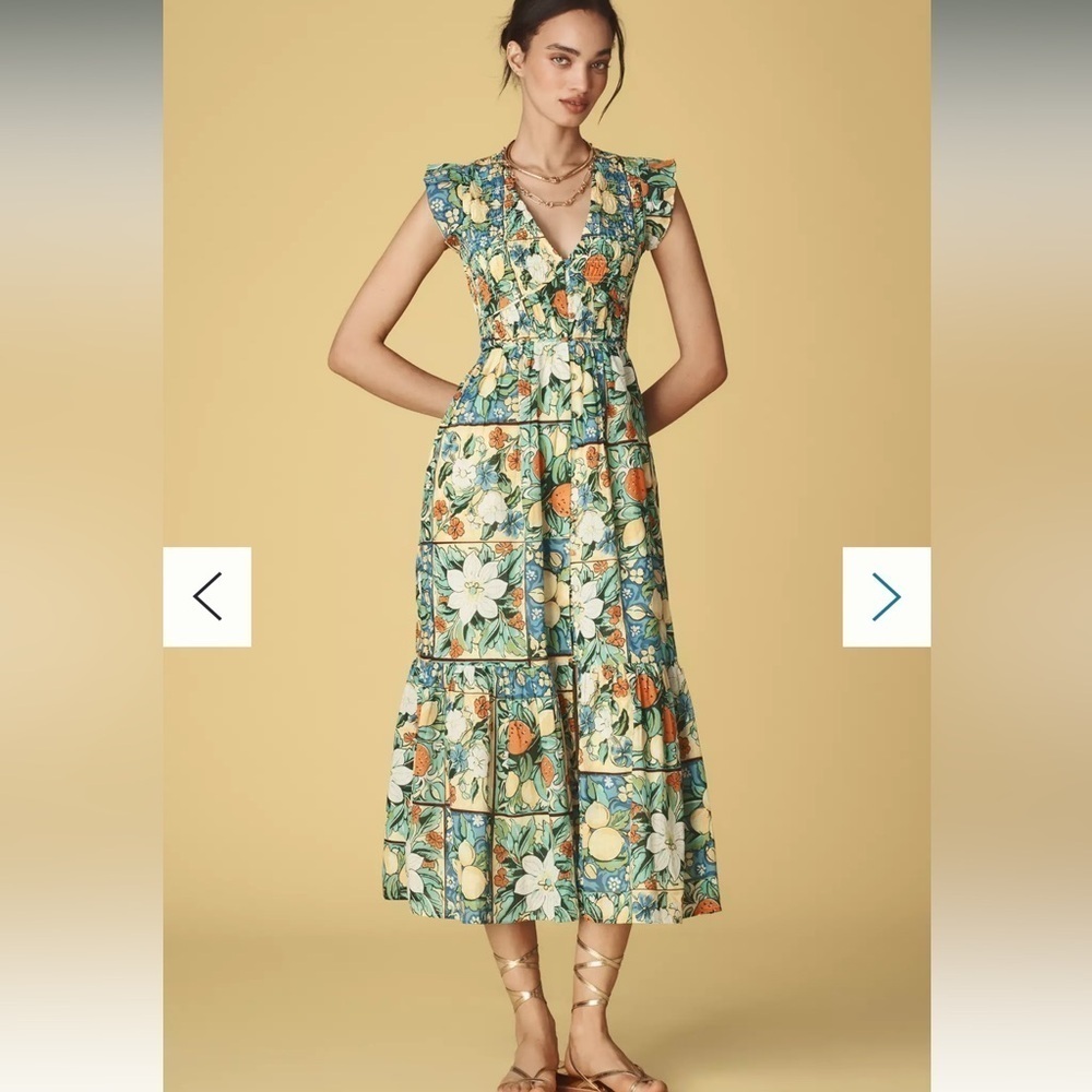 Anthropologie The Peregrine Midi Dress XXSP Color: Fruit Motif NWT